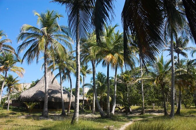 5-Island Speedboat Tour in Cartagena and the Rosario Islands - Bocachica: a useful historical opening