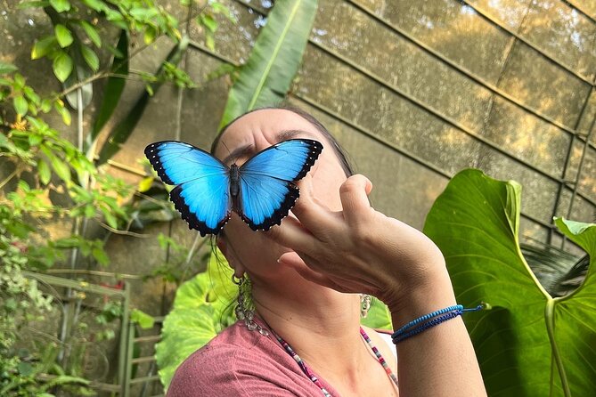 Admission to Andoke Butterfly Center in Cali with Release Ritual - Why Andoke feels different from a standard butterfly house