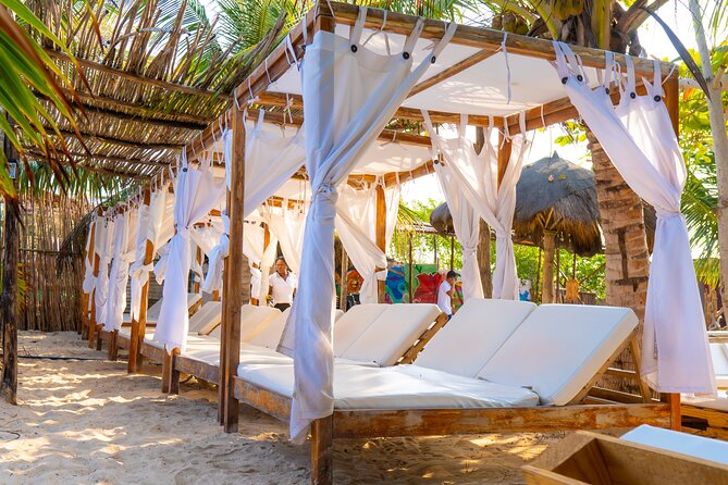 Adventure full day Isla Barú + Mangroves + Snorkel + bioluminescent plankton - Should you book it?