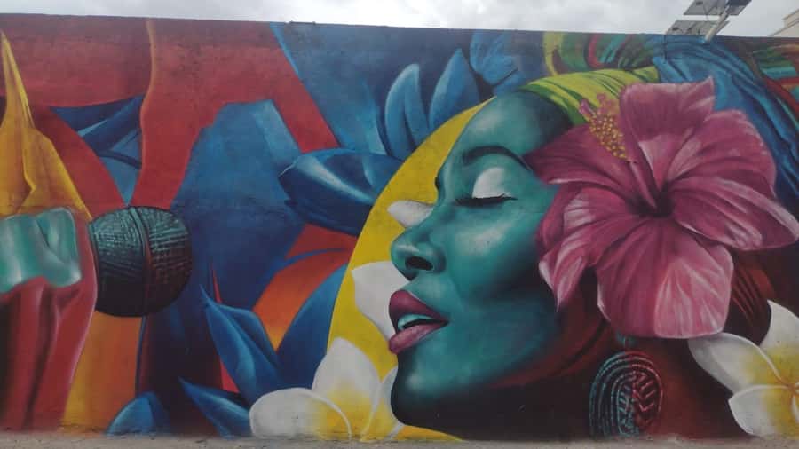 Afro Walking Tour. The colors of Cali. - Who should book the Colors of Cali walk?