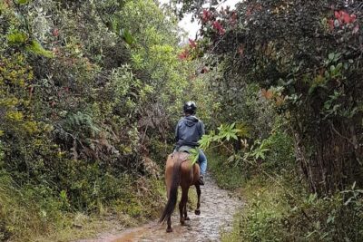 Andes Mountains Horseback Riding – Half Day