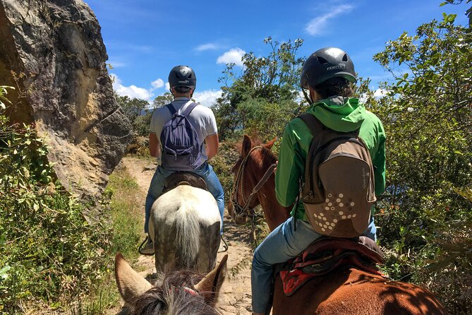 Andes Mountains Horseback Riding - Half Day - Sugarcane tea and the simple picnic