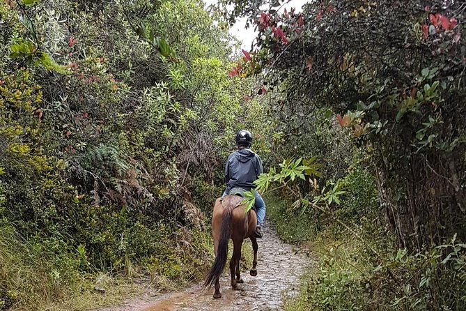 Andes Mountains Horseback Riding - Half Day - La Calera, horses, and the first instructions