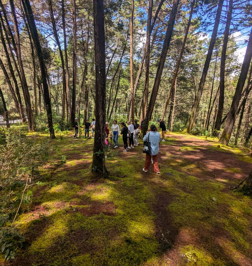 Arvi Park Walking tour and city views from Metrocable. - Practical advice before you go