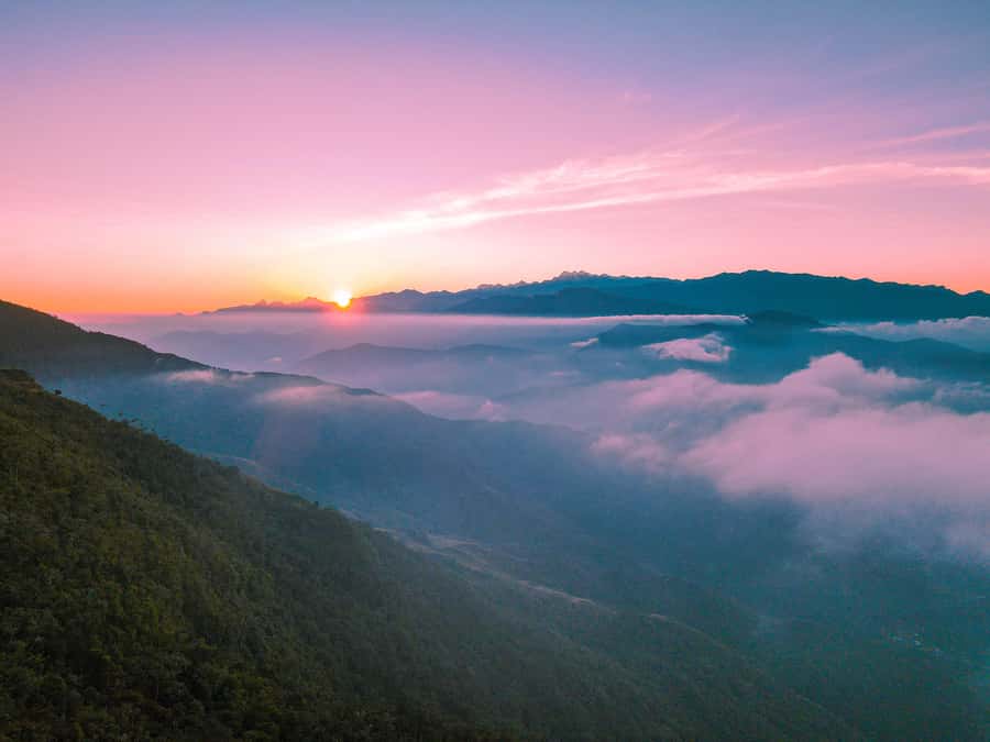 Avistamiento de aves en Minca Sierra Nevada de Santa Marta - Why Minca works so well for a birdwatching morning