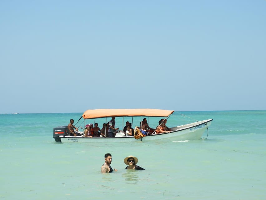 BARÚ: Enjoy the magic of Baru choosing best option for you - Who should book it?