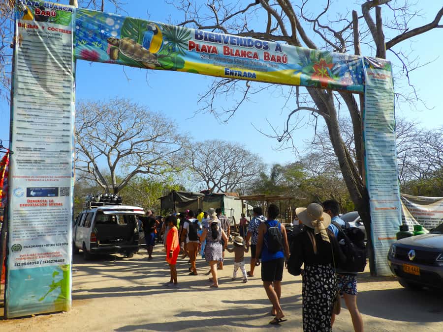 BARÚ: Enjoy the magic of Baru choosing best option for you - Lunch, coffee, and beach facilities