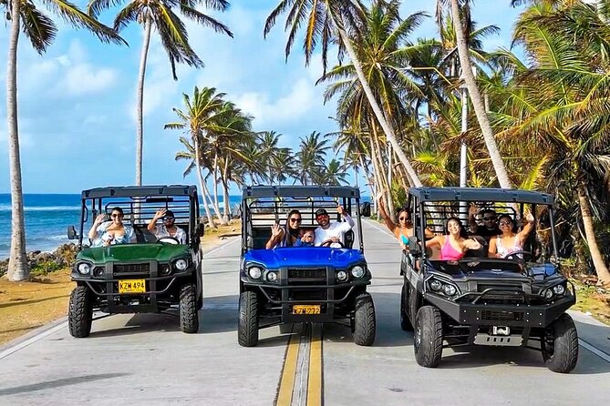 Beach Cart in San Andrés : your ideal Caribbean experience - Why a mulita is a smart way to see San Andrés