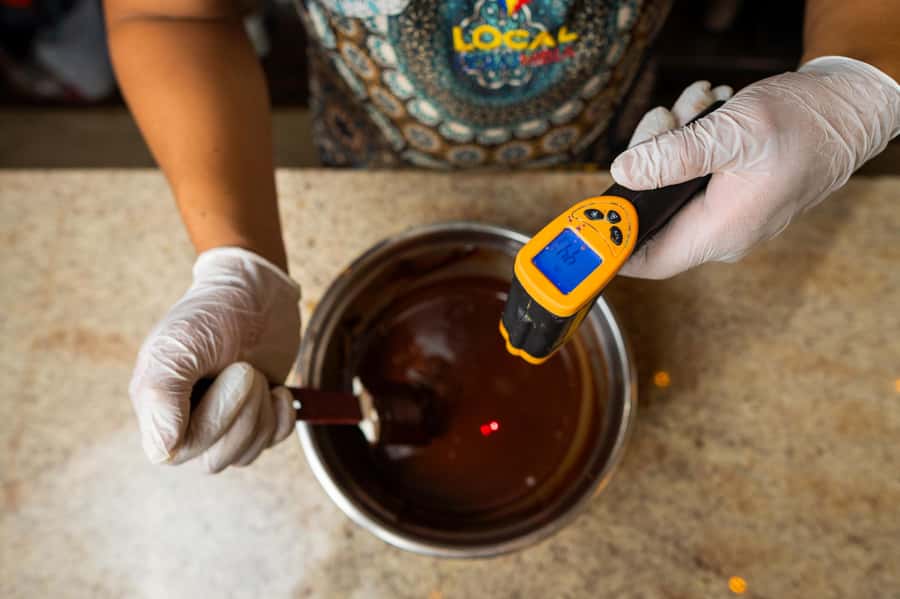 Bean to Bar: Cocoa and Chocolate Workshop - Key points at a glance