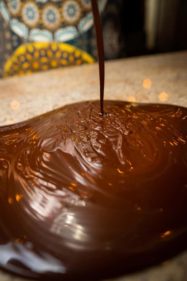 Bean to Bar: Cocoa and Chocolate Workshop - Who should book this chocolate workshop?