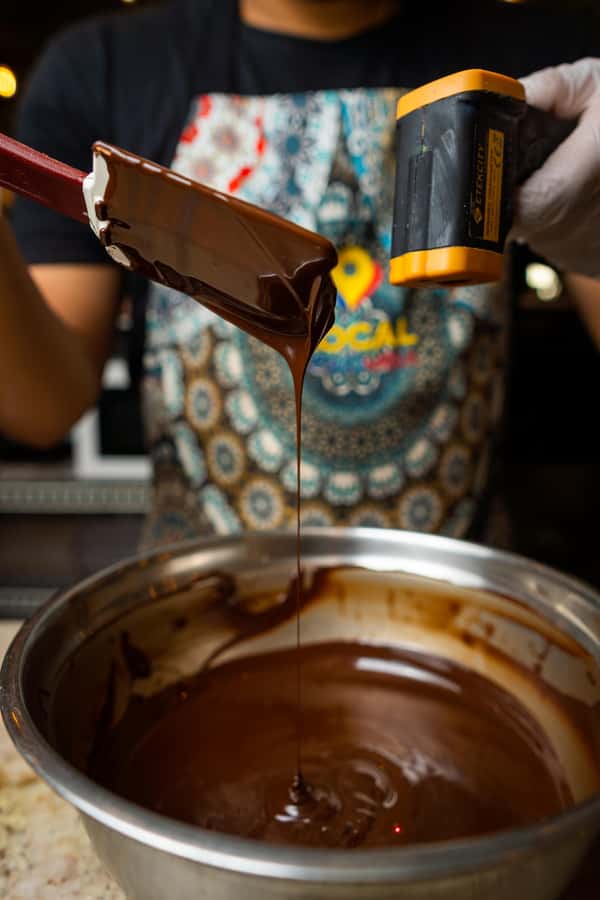 Bean to Bar: Cocoa and Chocolate Workshop - Tasting five chocolate styles and origins