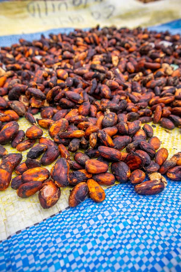 Bean to Bar: Cocoa and Chocolate Workshop - Is $101 per person a fair price?