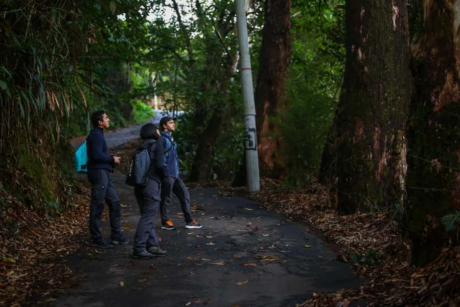 Birding Medellin with expert bird-watcher (Private) - Who should book this Medellin birding tour?