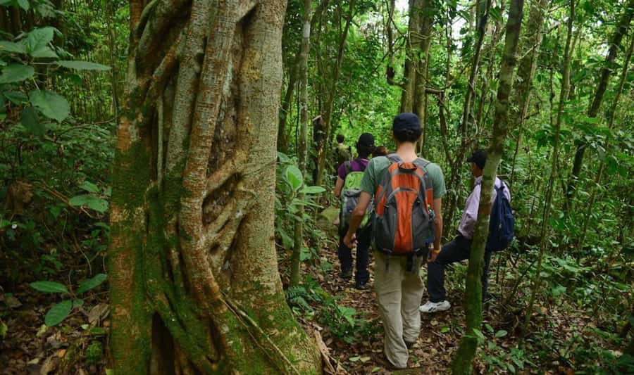 Birdwatching Day Tour at Chicaque Natural Park - Leaving Bogotá for Chicaque’s forest