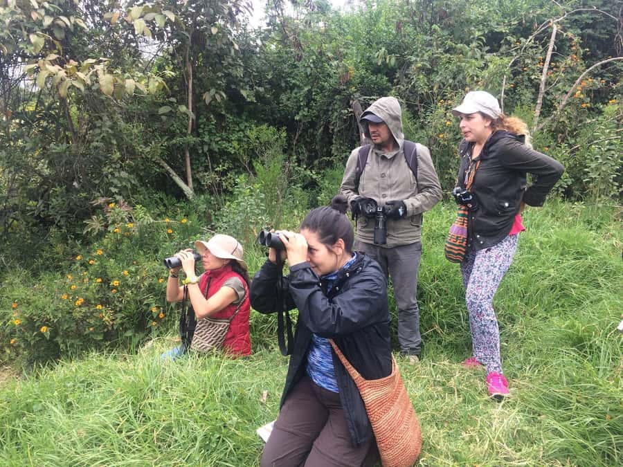 Birdwatching Day Tour at Chicaque Natural Park - Why the guide matters for birdwatching