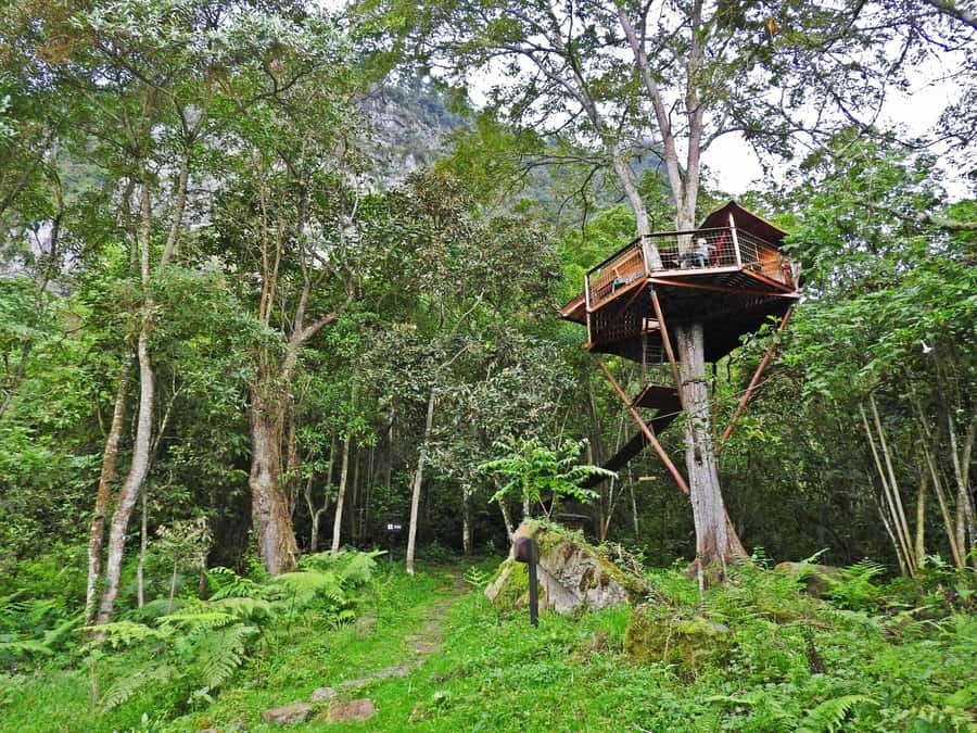 Birdwatching Day Tour at Chicaque Natural Park - Is $93 good value?