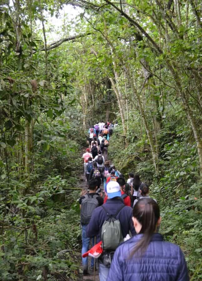 Bogota: Explore the forest and bird watching at Chicaque Natural Park - Key points to know before you book