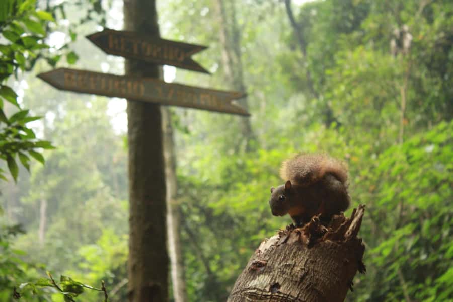 Bogota: Explore the forest and bird watching at Chicaque Natural Park - Leaving Bogotá for Chicaque’s cloud forest