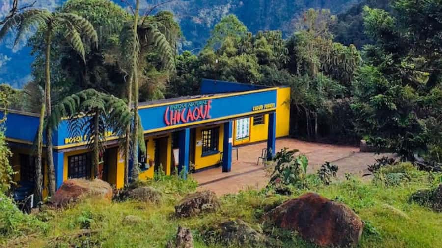 Bogota: Explore the forest and bird watching at Chicaque Natural Park - What you may see along the trails