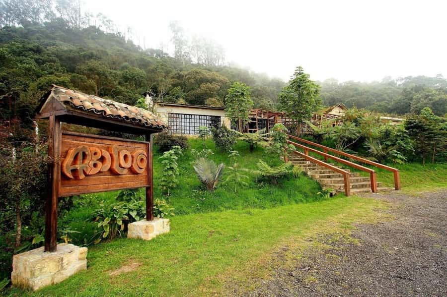 Bogota: Explore the forest and bird watching at Chicaque Natural Park - Reaching Chicaque Waterfall