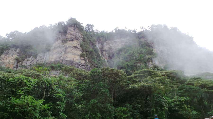 Bogota: Explore the forest and bird watching at Chicaque Natural Park - Who will enjoy Chicaque most