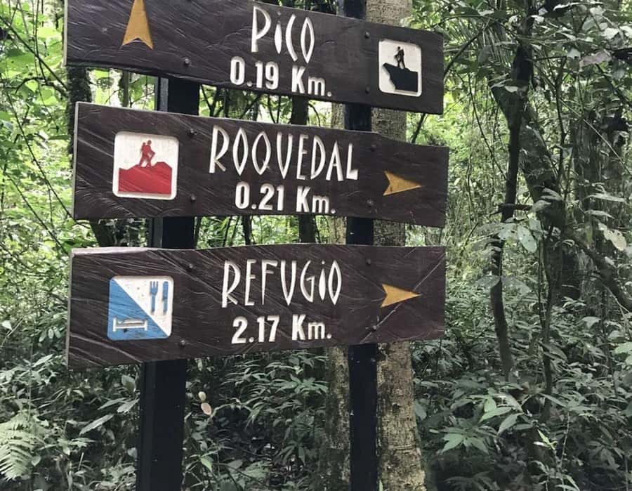 Bogota: Explore the forest and bird watching at Chicaque Natural Park - Is the Chicaque day trip worth booking?