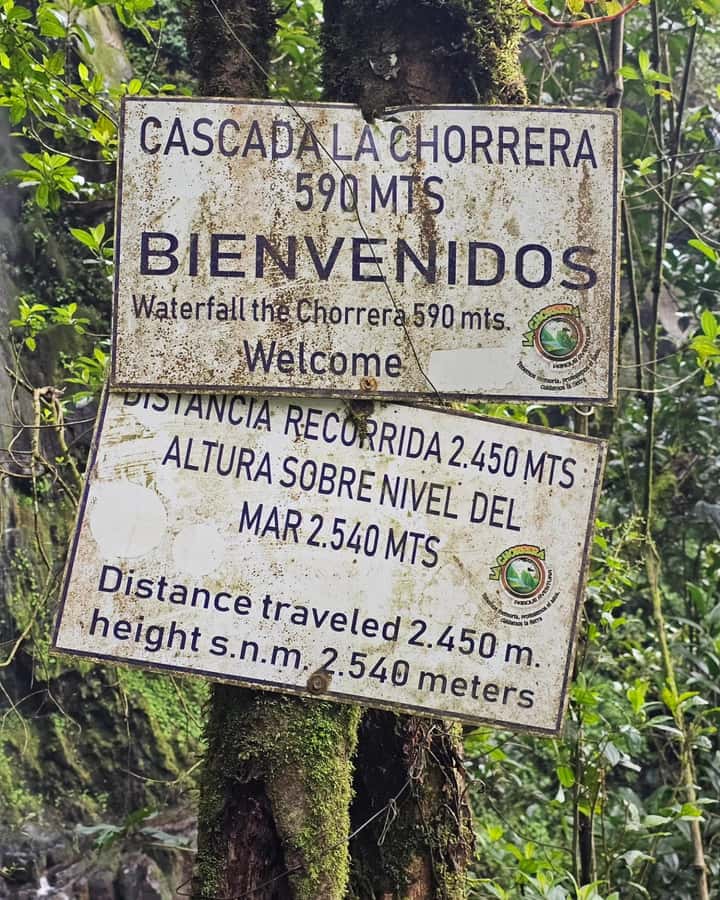 Bogota: Hike to La Chorrera Waterfall, El Chiflón and Guadalupe Hill - What makes this outing worth your time