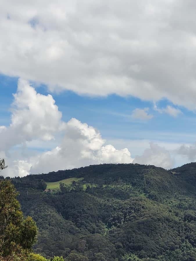 Bogota: Private Tour to Monserrate and Guadalupe - What the private car and guide change