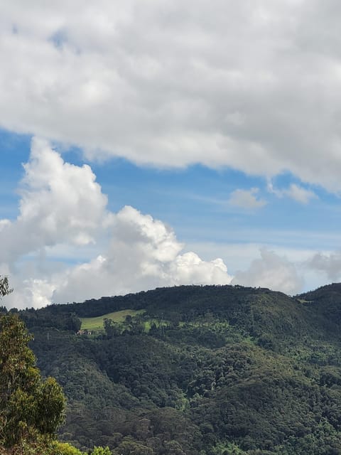 Bogota: Private Tour to Monserrate and Guadalupe - Is $78 per person good value?