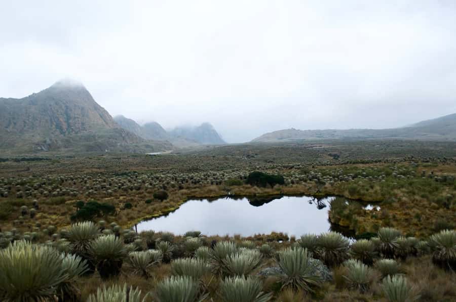 Bogotá: Sumapaz National Park Hike Tour - Key points to know before you go