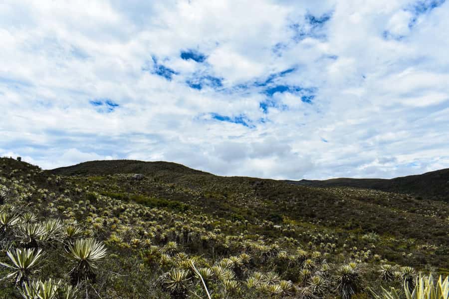 Bogotá: Sumapaz National Park Hike Tour - What to wear and pack for 4,000-meter weather