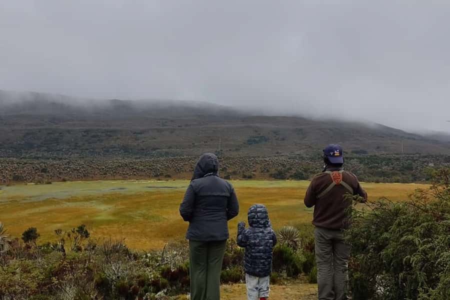Bogotá: Sumapaz National Park Hike Tour - The morning transfer from Bogotá