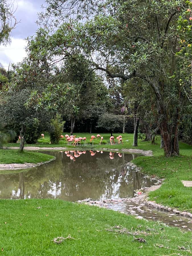 BOGOTA: Tour of Jaime Duque Park, Zoo, and Aerospace Museum - What the $117 price includes, and what it does not