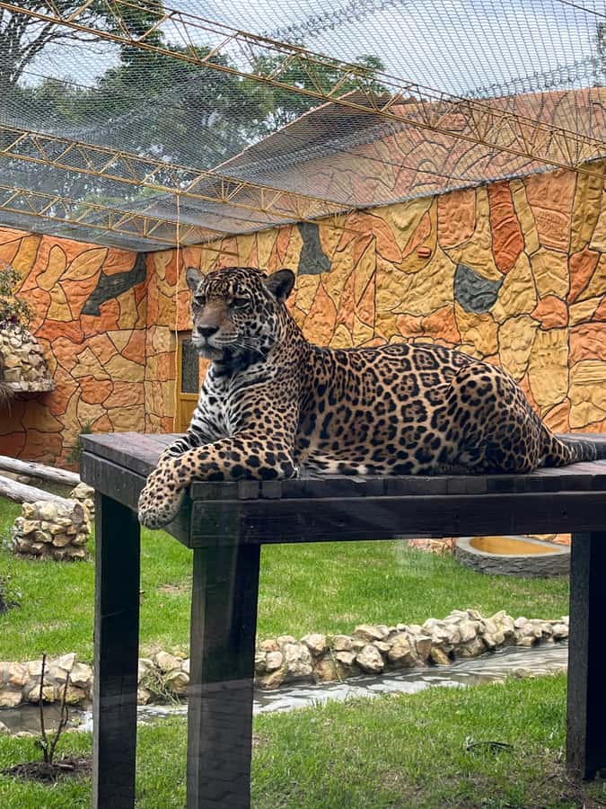 BOGOTA: Tour of Jaime Duque Park, Zoo, and Aerospace Museum - The Fountain Garden and a quieter pause