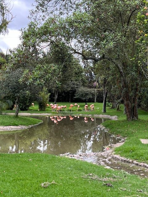 BOGOTA: Tour of Jaime Duque Park, Zoo, and Aerospace Museum - Theater shows and family attractions