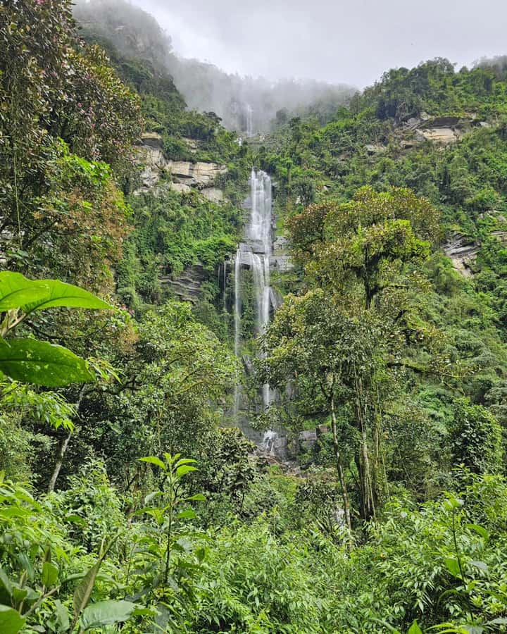 Bogotá: Visit Colombia's Highest Waterfalls & Guadalupe Hill - Key points to know before booking