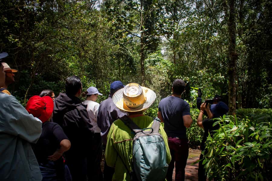 Bogota:Zipaquirá Salt Cathedral & Guatavita Trip with Pickup - How the guides shape the experience