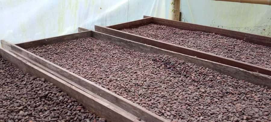 Cacao and Coffee Tour - Walking out from Minca to the farm