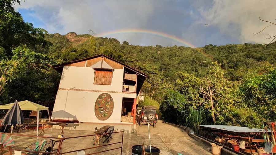 Cacao and Coffee Tour - What the $46 price really buys you