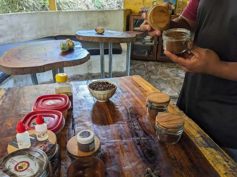 Cacao and Coffee Tour - The Santa Marta viewpoint and birdwatching