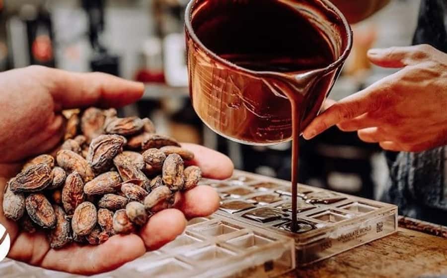 Cacao Experience Tour - Learning how cacao becomes chocolate