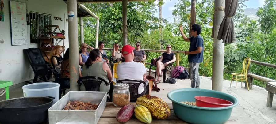 Cacao Experience Tour - Practical preparation for the four-and-a-half-hour outing