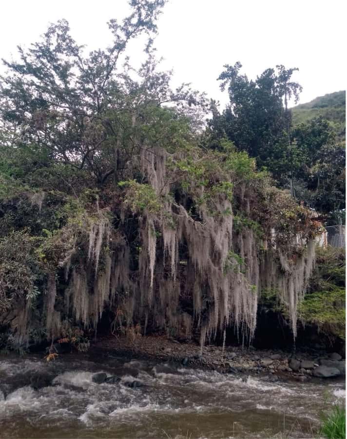 Cali: Cali River Waterfall and Great River Pools Tour - What the $50 price buys you