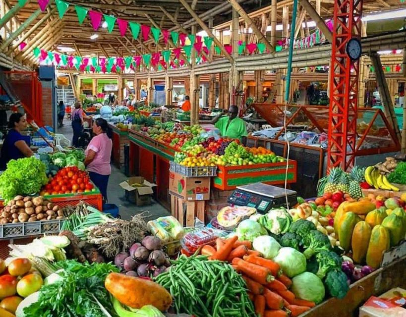 Cali: Cristo Rey, Tertulia Museum & Downtown Cali City Tour - What the $91 price includes