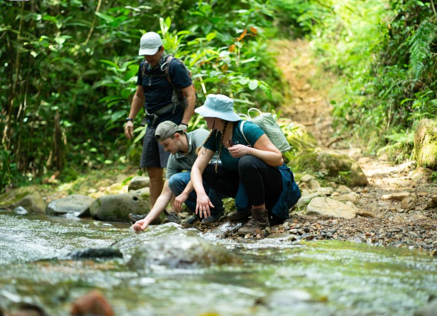 Cali: Hiking to the Pance waterfalls - Who will enjoy this outing most?