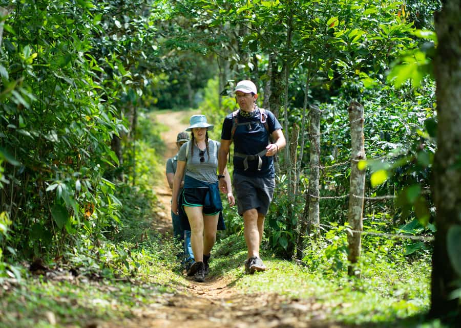 Cali: Hiking to the Pance waterfalls - Rivers, pools, and the waterfall stop