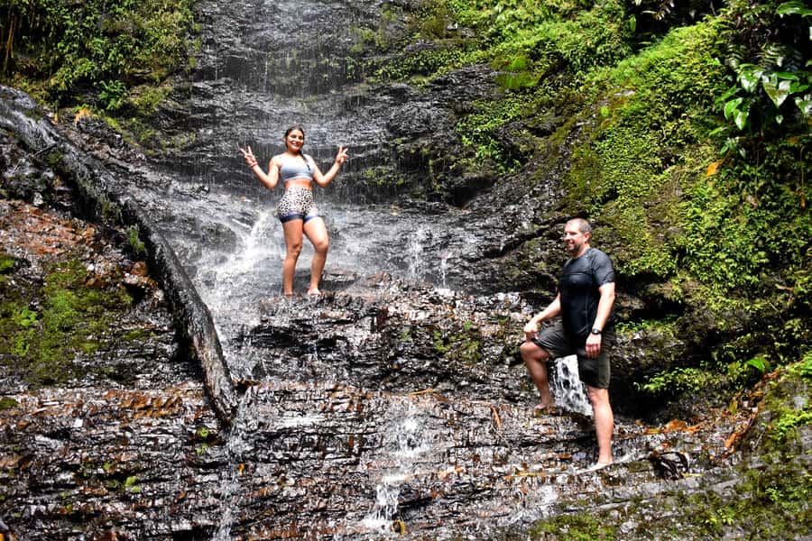 Cali: Hiking to the Pance waterfalls - Birds, plants, and the Farallones setting