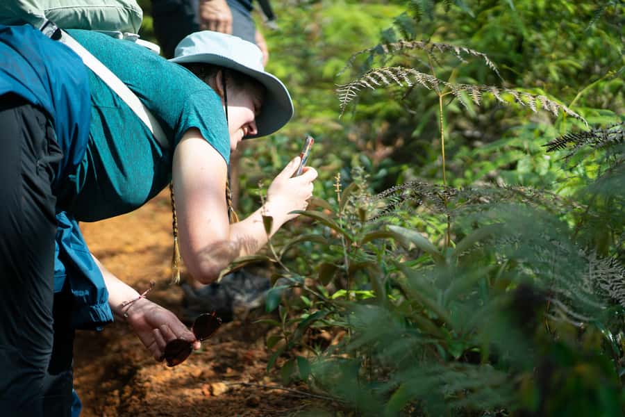Cali: Hiking to the Pance waterfalls - Why the small group matters
