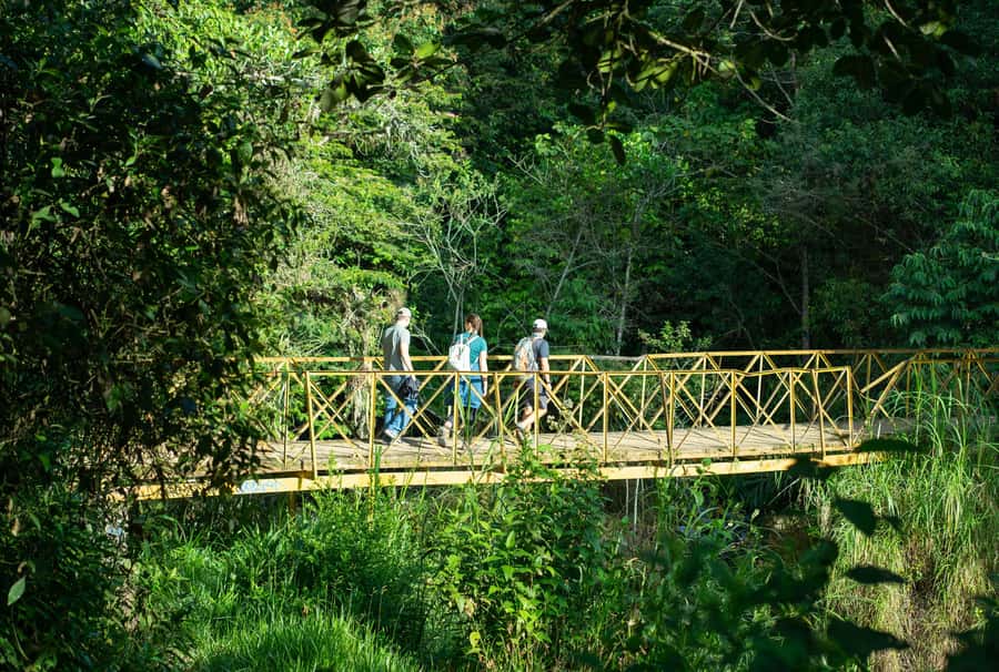 Cali: Hiking to the Pance waterfalls - Is $119 a fair price?