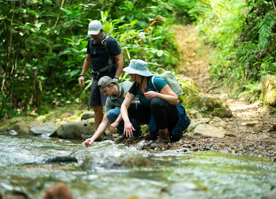 Cali: Hiking to the Pance waterfalls - What the forest hike is really like